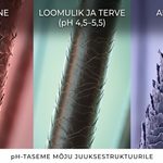 AATOMID, MOLEKULID JA KEEMILISED SIDEMED JUUSTES