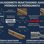 JUUSTE PEHMENDAMINE KEEMILISTE LOKKIDE TEGEMISE AJAL